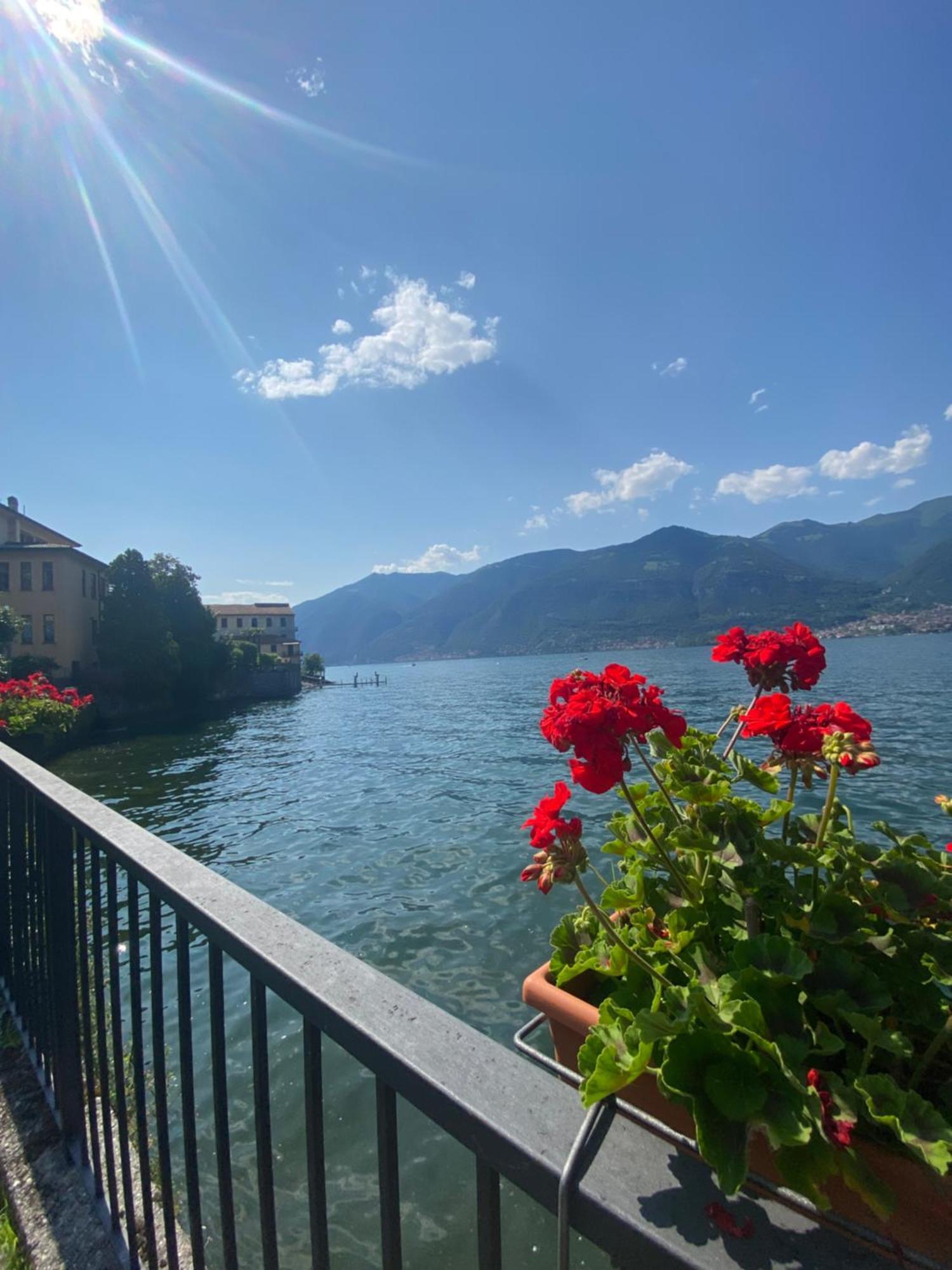 Appartement Peonia - Vista